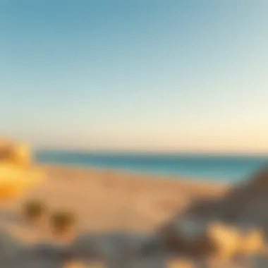 Magnificent Exploring the Beaches of Ras Al Khaimah: A Comprehensive Guide