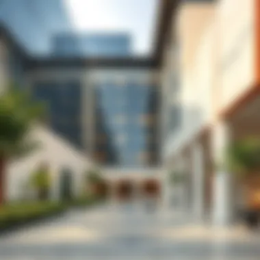 An In-Depth Exploration of Medical City Dubai Summary