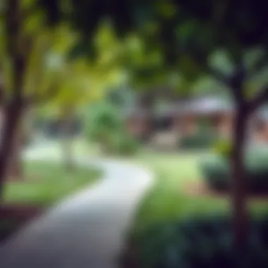 Lush Green Park in Zahiya Community park in Zahiya filled with greenery and recreational spaces