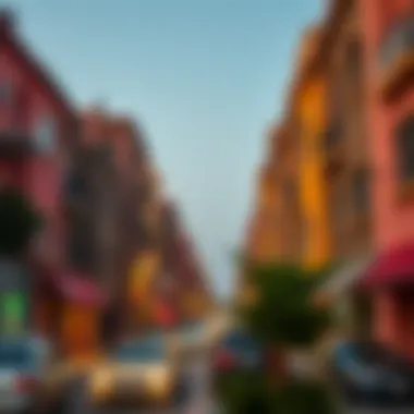 Vibrant neighborhood scene showcasing the appeal of Dubai studios