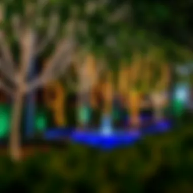 Seasonal Highlights at Dubai Garden Glow Seasonal events highlighting the beauty of Dubai Garden Glow