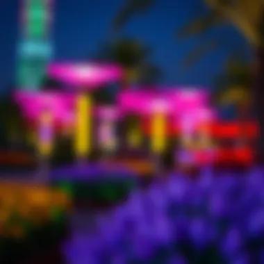 Illuminated Flora at Dubai Garden Glow A vibrant display of illuminated flora at Dubai Garden Glow