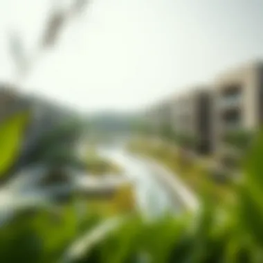 Exploring Green Community in Dubai Investment Park Summary Exploring Green Community in Dubai Investment Park Summary