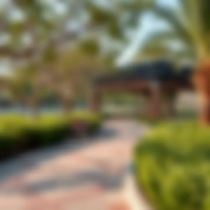 Ecological features of Muwaileh Park emphasizing urban biodiversity