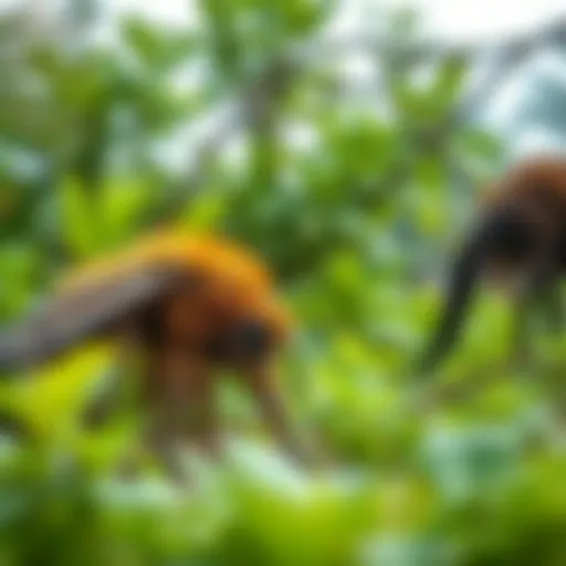 Lush Greenery of Muwaileh Park Lush greenery at Muwaileh Park showcasing diverse plant species