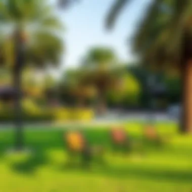 Relaxing area with benches and trees in a Dubai park