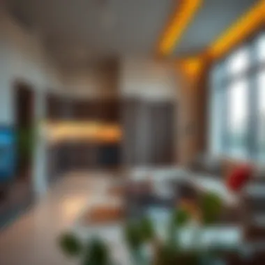 Amenities offered in furnished studios including kitchen and living area