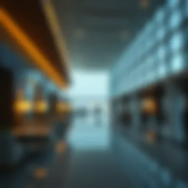 Implications of Visa Cancellation Explained Visual guide on the implications of visa cancellation.