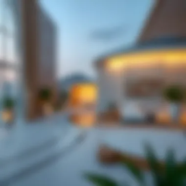 Overview of the Visa Cancellation Procedure A clear representation of the visa cancellation procedure overview.