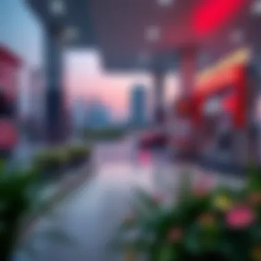 Petrol price chart demonstrating fluctuations in the UAE for February 2024