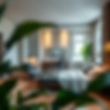 Efficient Studio Apartment Layout Cozy studio apartment layout emphasizing space utilization
