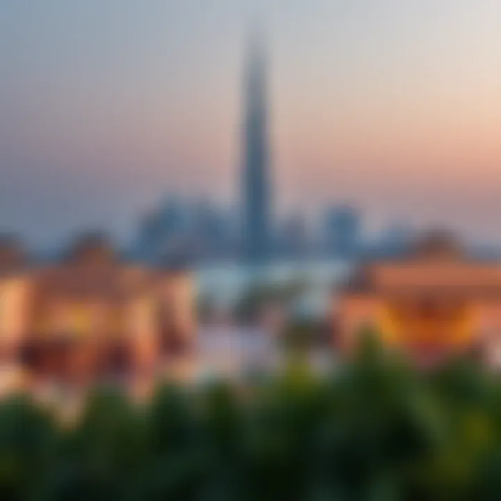 Overview of Visa Options in Dubai Overview of Dubai's Visa Options
